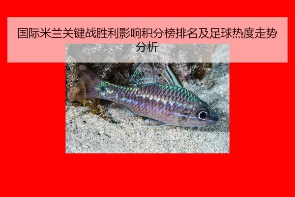 guo-ji-mi-lan-guan-jian-zhan-sheng-li-ying-xiang-ji-fen-bang-pai-ming-ji-zu-qiu-re-du-zou-shi-fen-xi-2-533.jpg